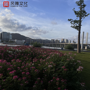 抹茶软件看女生全身隐私
